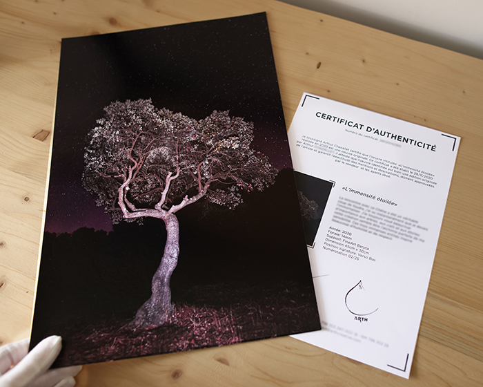 Galerie Photographie d'art Montpellier