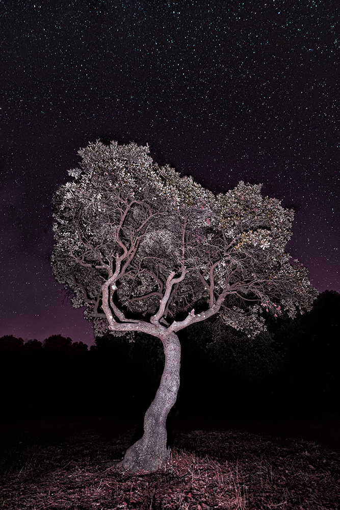 tirage d'art nuit